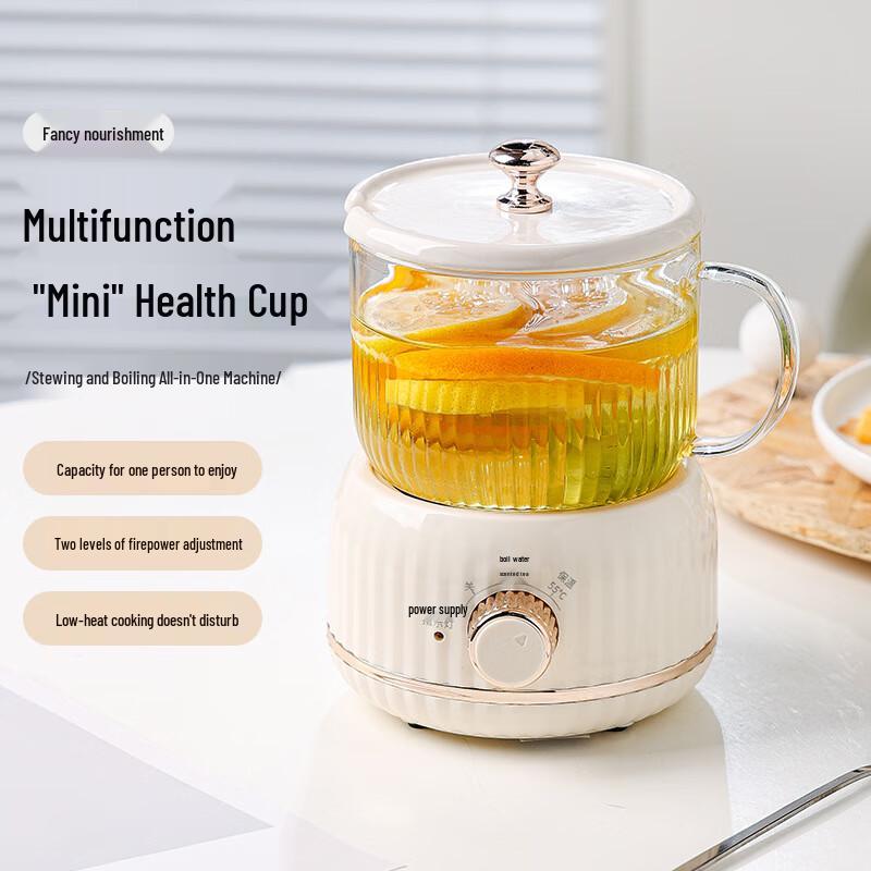 Portable Electric Tea & Health Pot Gift Set