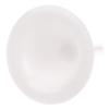 8Pcs Lily Flower Mold Cupcake Stand Icing Cream Cake Flower Needle Nail Baking Tools Cake Decorating Tool Flower Nail Receptacle