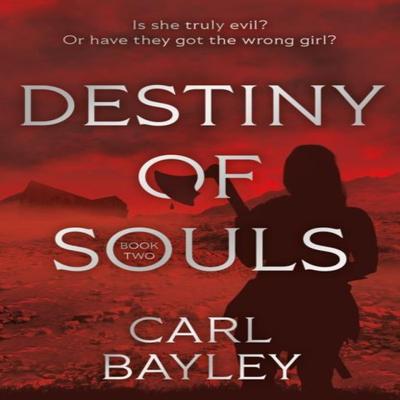 Destiny of Souls by Carl Bayley Paperback Book 9781836281955