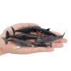 Simulation 6-Piece Set Of Marine Life Bowhead Whale Humpback Whale Killer Whale Mini Whale Toy Model