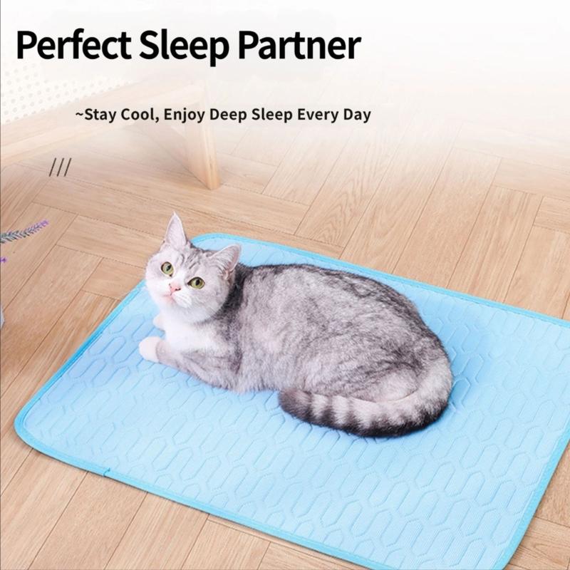 Latex Backed Dog Pad with Warm Season Comfort, Soft Indoor Layer Finish, Stable 55 x 70 cm Summer Size for Homes