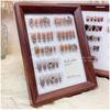 Vintage Walnut Manicure Display Board: Large Photo Prop for Salon