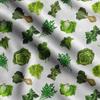 Soimoi Veggies Print,  Cotton Cambric, Quilting Fabric Sold by The Yard 42 Inch Wide, Medium Weight Cotton Fabric, Sewing  Supplies,Aquamarine