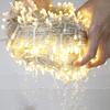 Warm white LED Christmas Fairy Lights Waterproof 50M 100M 8 Modes EU Plug 24V-36V Holiday Wedding Party String Decor For Lighting Celebration