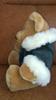 [USED] Excellent condition Harrods teddy bear, 2000