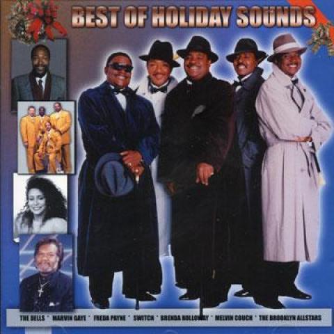 

CD VARIOUS - Best Of Holiday Sounds CVR180872 CVI Records UK Latin