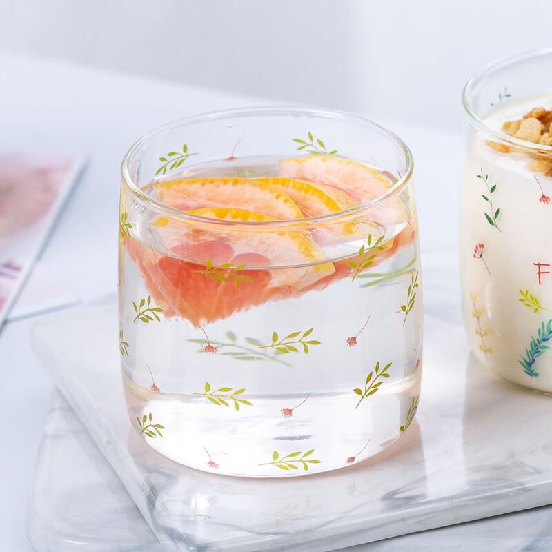 INS Style Heat-Resistant Borosilicate Glass Cup