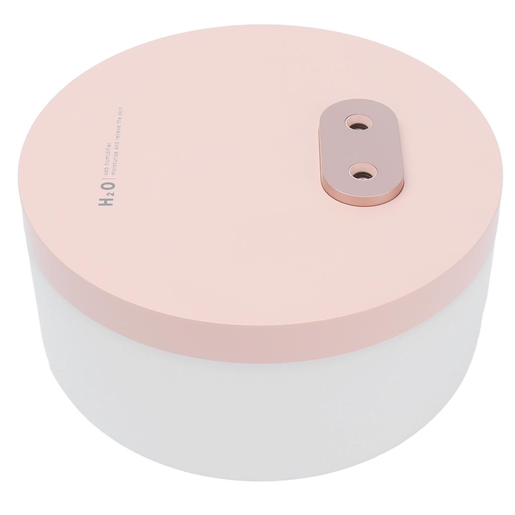 Dual Spray Air Humidifier USB Charging Mini Innovative Mute Mist Diffuser for Home 1000ml