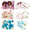 104Pcs Pressed Dried Flowers Set Real Natural Pressing Floral Leaves DIY Multipurpose Real Pressed Flowers Dry Leaves Kit