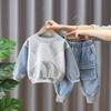 Boys' Trendy Sweatshirt Set - Spring & Autumn Fashion Sportswear