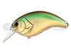 Depth Evoque 3.0 #06 Golden Shiner