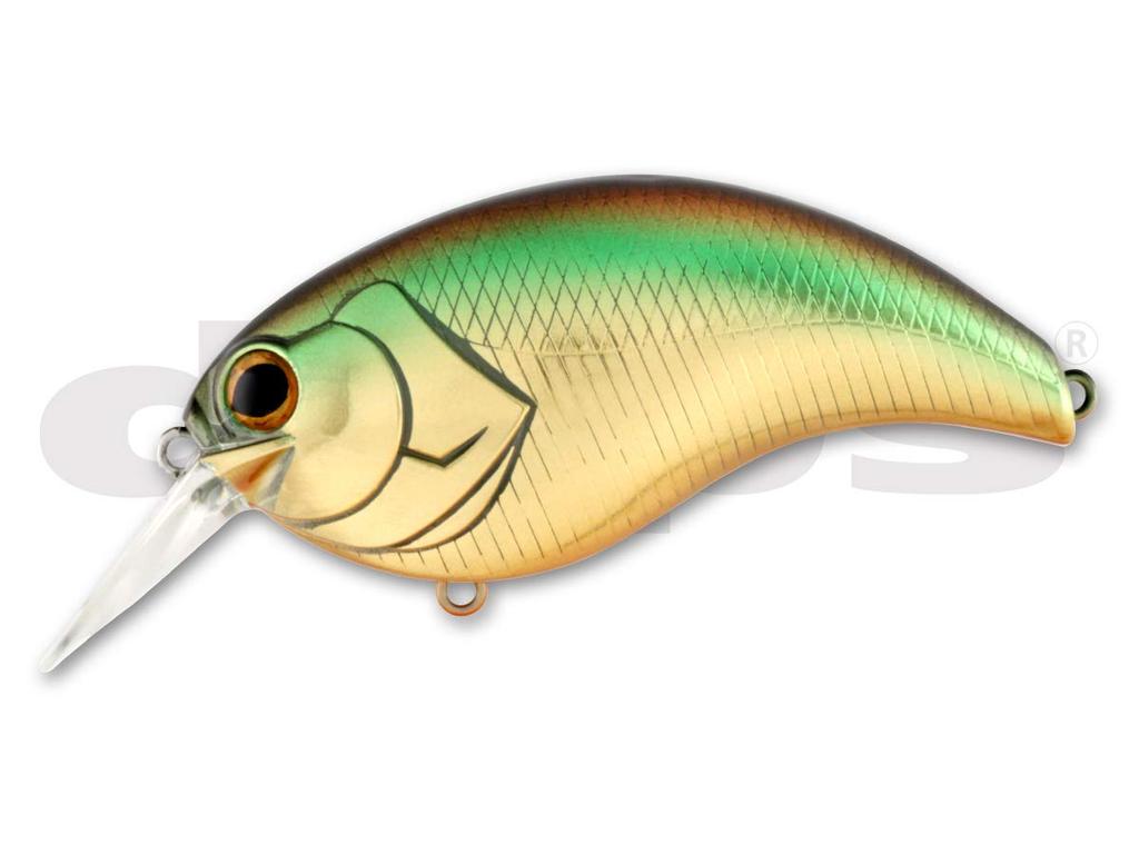 Depth Evoque 3.0 #06 Golden Shiner