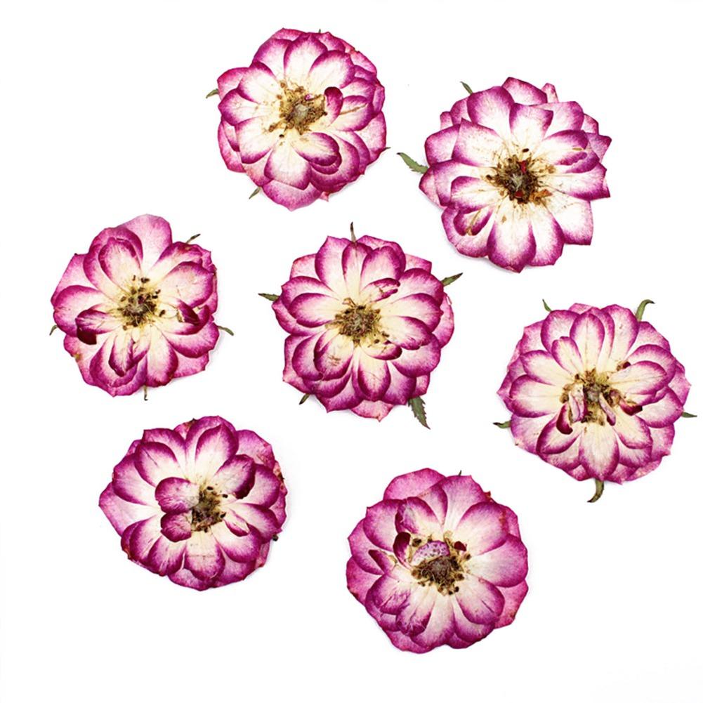 

Сушеные цветы для изготовления мыла для свечей, скрапбукинга, наклейки с натуральными цветами