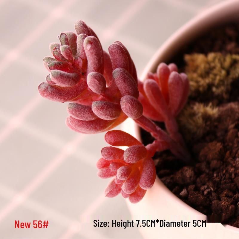 Realistic Flocked Succulents: Small Artificial Green Plant Wall Decor for Interiors