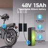 Ny Ebike GS3 250W 48V 15AH Vikbar Elcykel Vuxen Rese Stad Pendlar Elcykel 14*2.125 Tum Däck Mini E-cykel