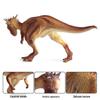 Kids' Jurassic Dinosaur Toy Model: Pachycephalosaurus, Stygimoloch & T-Rex.