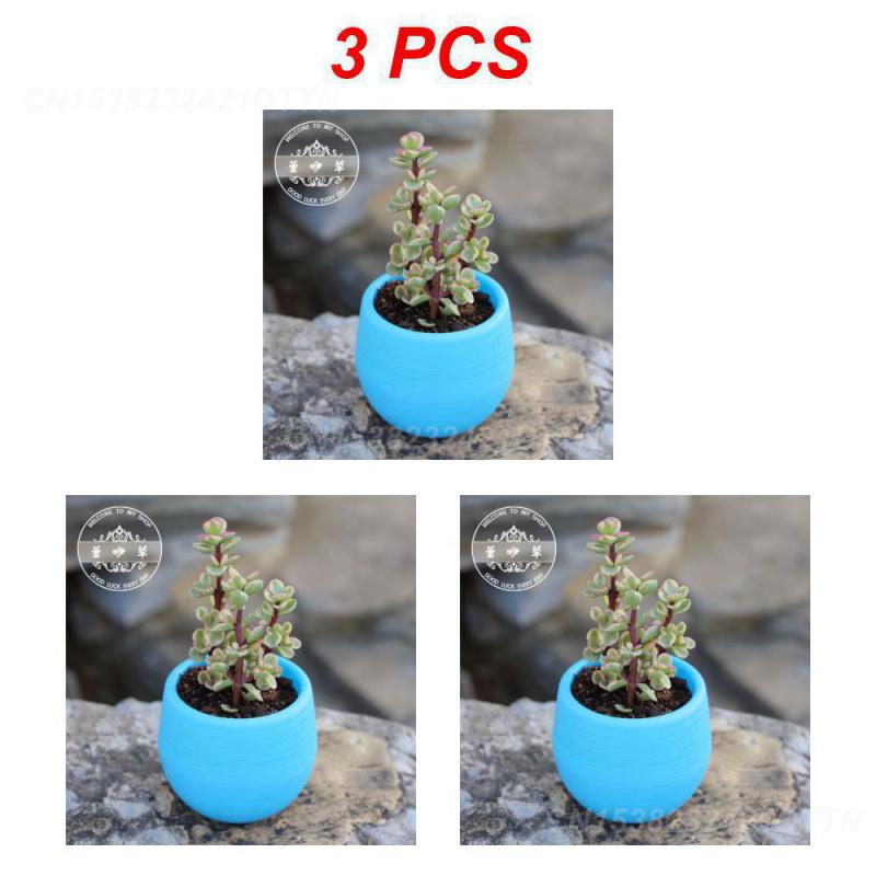 1/2/3PCS Plastic Flowerpot Small Green Plant Flowerpot Plant Desktop Potted Solid Color Mud Holder 2025 Succulent Plant Pot