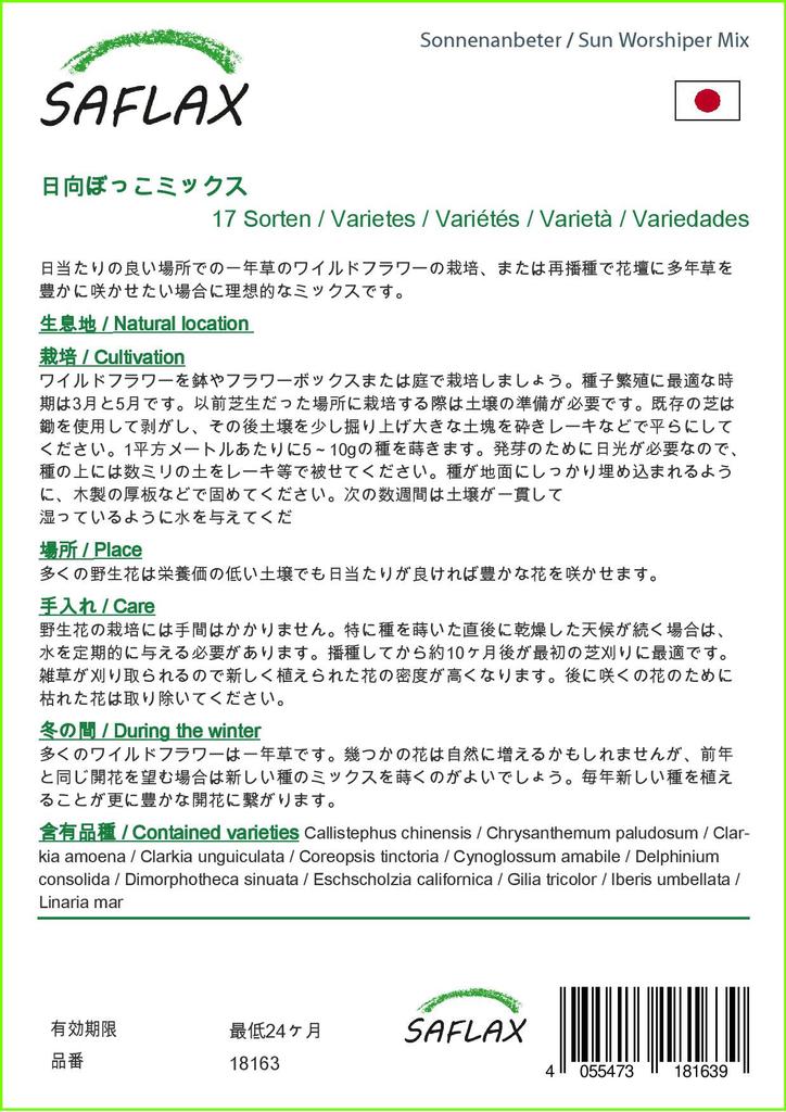 SAFLAX Sonnenanbeter-Mix – 1000 Samen – 17 Wildblumen-Mix