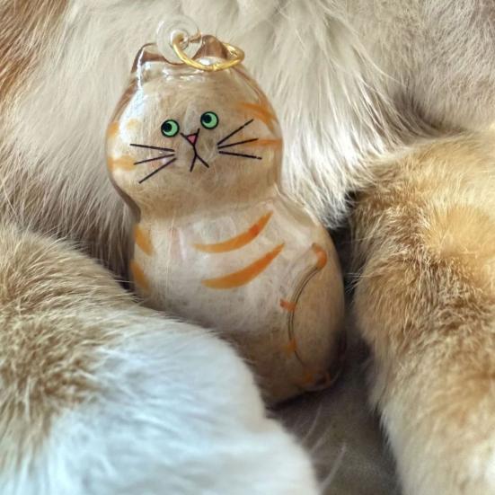 Cat Hair Storage Bottle Transparent Pet Fur Keepsake Keychain for Collecting Cats Dogs Hair Pet Memorial Gift