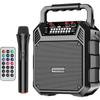 Newmine K503 Portable Wireless Bluetooth Karaoke Speaker CN plug (adapter included)