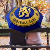 Golden Lion Chelsea FC Folding Umbrella Durable Portable Umbrella Light Travel