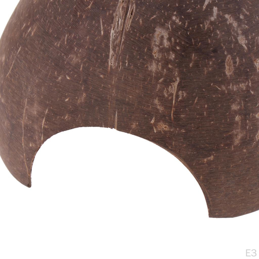 Hideout Natural Tunnel for Fish Small Animal Reptile Terrarium Ornament