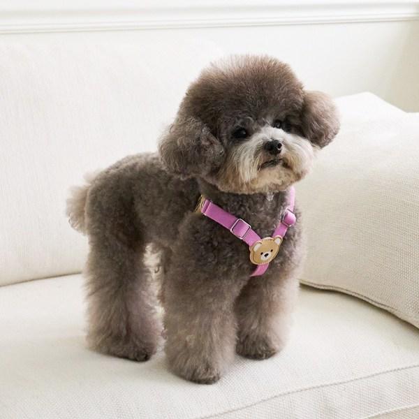 Bai Bong Puppy Light Bear Harness, Purple