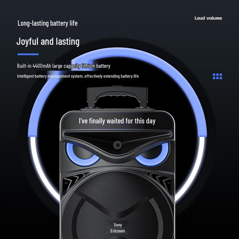 Soaiy Portable Audio Systems & Accessories