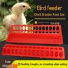 Long Strip Chick Feeder & Feed Trough for Chickens, Pigeons, and Quail