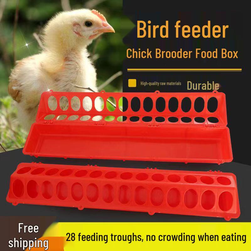 Long Strip Chick Feeder & Feed Trough for Chickens, Pigeons, and Quail