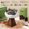 Wilderness Secret Scented Stone Diffuser Gift Set - Indoor Flameless Aroma Ornament for Holidays and Parties