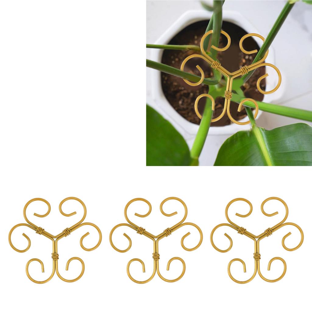 5Pcs Monstera Plant Support Hooks Iron Stem Holder Reusable for Growing Climbing