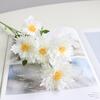5 Heads Artificial Flower High Simulation Silk Material Realistic Texture Lifelike Bellis Perennis