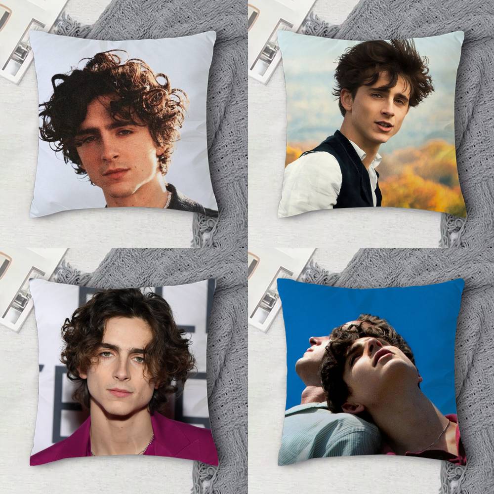 Fine Glasses Unisex T-Timothee Chalamet Double-Sided Printed Square Decorative Cushion Cover For Sofa Living Room Home Decor
