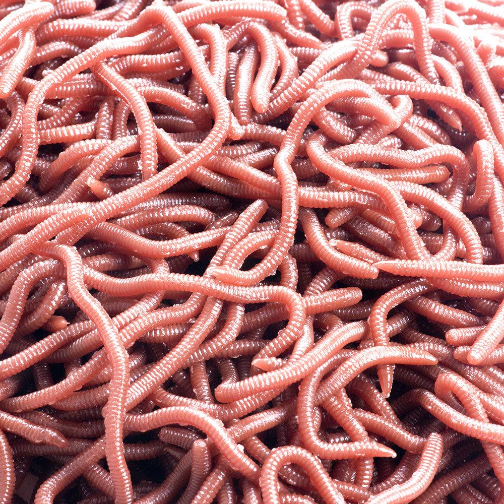 Hengjia Bionic Earthworm Fishing Lure - 4cm & 8cm Soft Bait, Bloodworm Companion, Hot Selling Artificial Lure