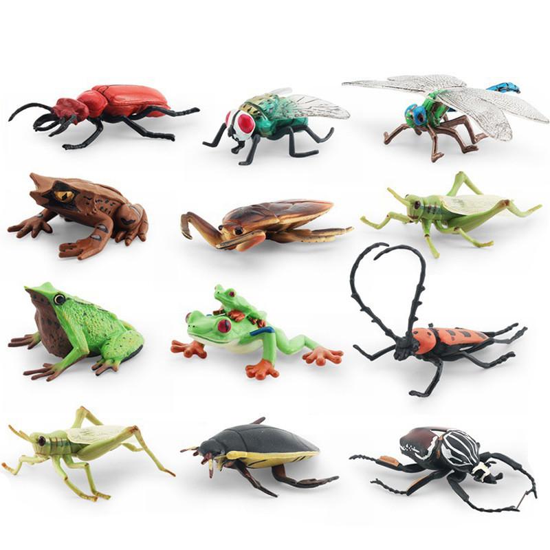 Realistic Pvc Insect Model Set Including Rhinoceros Beetle And Dragonfly For Decoration
