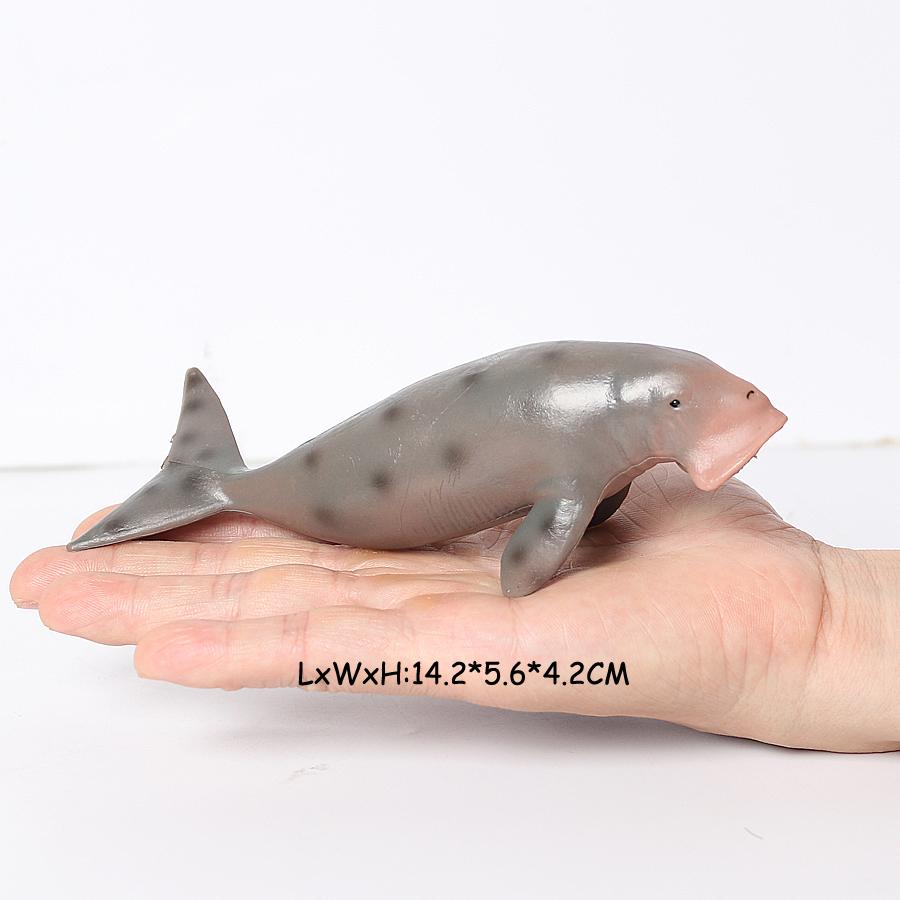 Endangered Marine Animals Figurines Killer Shark Orca Beluga Whale Dolphin Seal Model Action Figure Toy Conservation Awareness