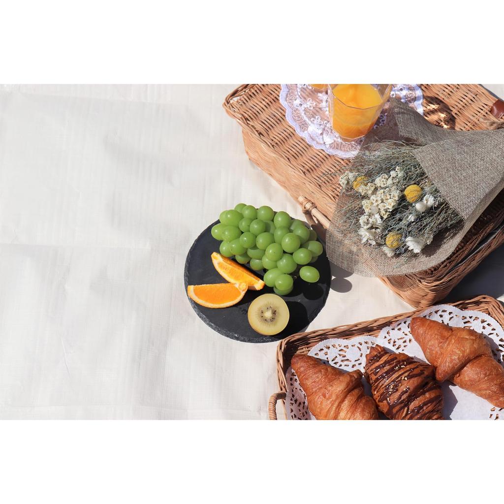 Artec Outdoor Leisure Sheet Cozy Picnic Mat x 74175 1.8m 2.7m Off-White