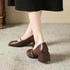 Fashion 2025 Shoes for Women Mary Janes Women's High Heels Retro Dress Pumps Women Square Toe Chunky Heels Buckle Strap Shoes Ladies
