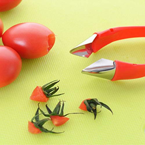 Haixifry Strawberry Huller, a metal fruit peeler for stalk removal, stem removal, and core removal.