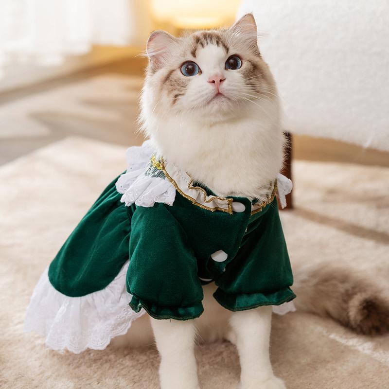 Cat Clothes Princess Style Autumn and Winter Ragdoll Cat Anti-hair Loss Velvet Lace Cotton-padded Clothes Skirt Pet Dog Clothing