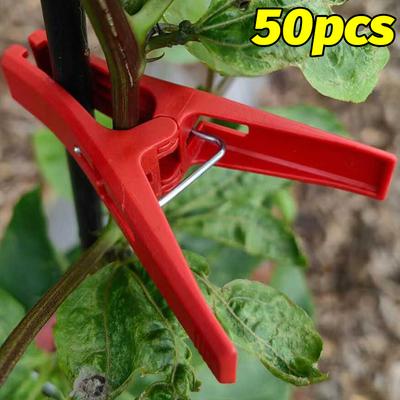 10-50 Stück Kunststoff-Pflanzenpfropfklammern Gemüse Gurke Tomate Kletterpflanzen Befestigungsklammern Anti-Fall-Klammern Stützen Organizer