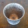 Shochu Glass Arita Ware Stylish Silver Color Supreme Shochu Glass Ceramic Made in Japan