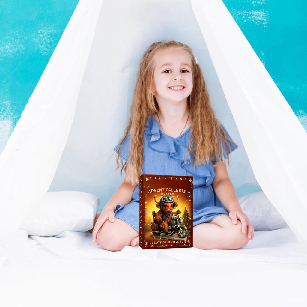 2D Plane+airplane Box +24PC+ Fitness Decoration Advent Christmas Countdown Box Calendar