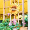 Summer And Fall Decor 30cm 11inch In Diameter Wooden Welcome Door Hanger Waterproof Well Workmanship Sturdy Construction