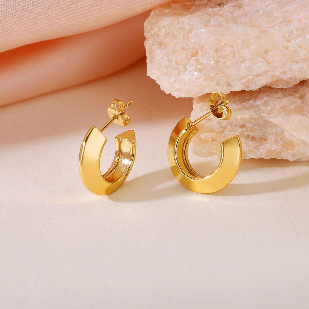 2025 Luxury Titanium Steel Earrings - No Fade, High-End Feel
