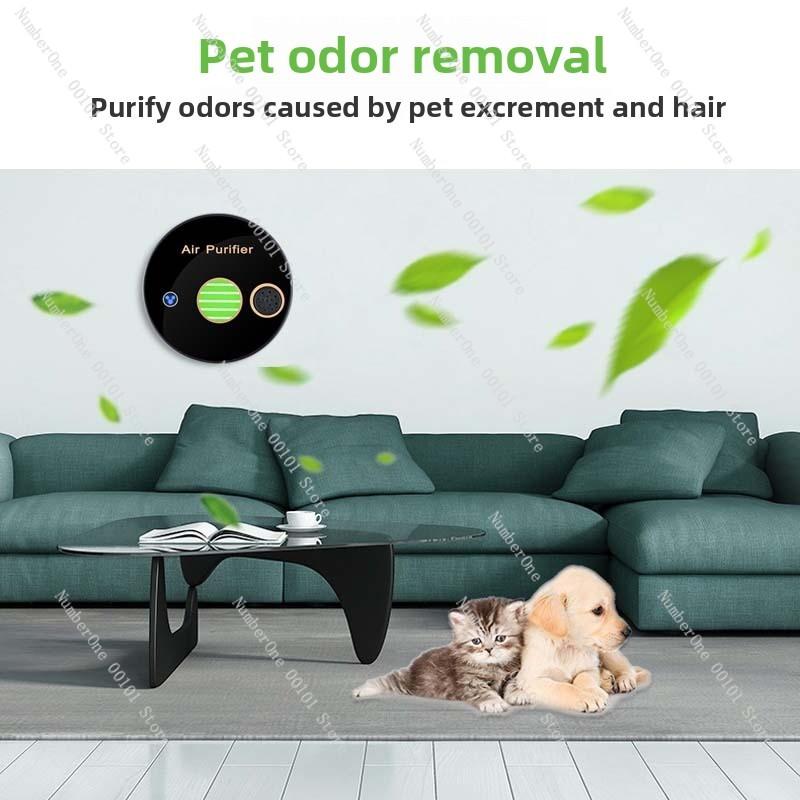 Air Purifier: High Efficiency Dinuclear Plasma Negative Ion Active Oxygen