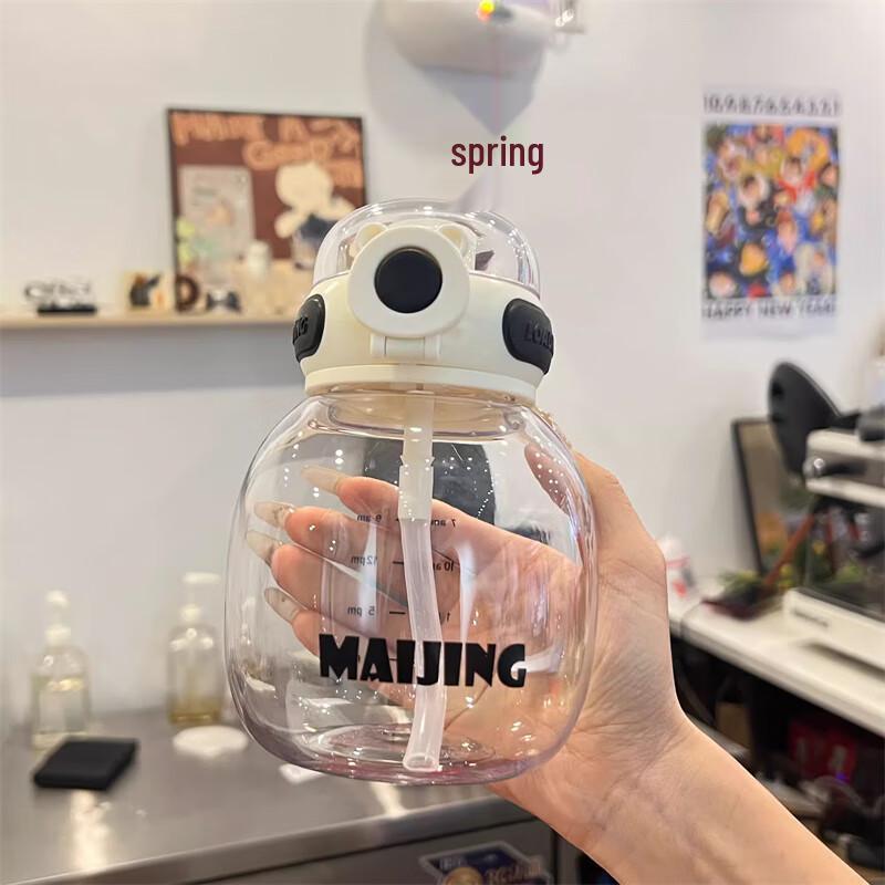 Lainuo Summer Large Capacity High-Temperature Resistant Glass-Lined Straw Bottle