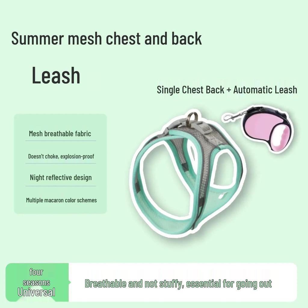 Adjustable Cat Anti-Escape Leash & Harness for Outdoor Walking