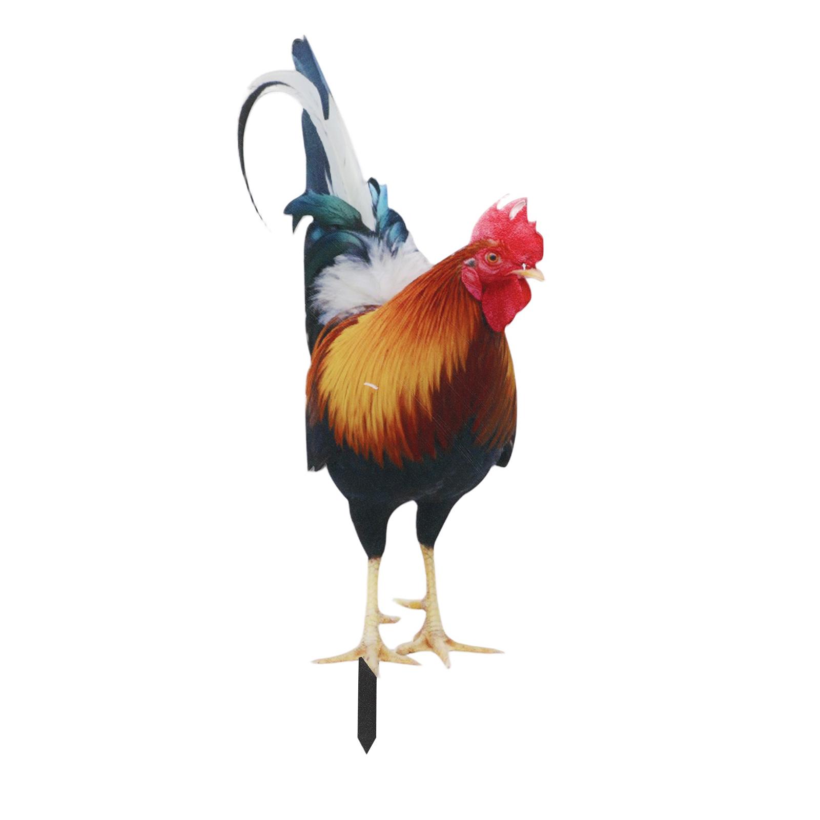 Attention-grabbing Chicken Decorations Long-lasting Display Outdoor Use Waterproof Weatherproof Acrylic Material